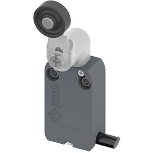 pizzatoelettrica Pizzato Elettrica NF B112KG-DN2 NF B112KG-DN2 Eindschakelaar 250 V/AC 4 A Zwenkbare rolhendel Moment IP67 1 stuk(s)