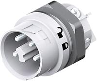 Wieland Rundstecker Stecker, Einbau Serie (Rundsteckverbinder): RST MINI Gesamtpolza