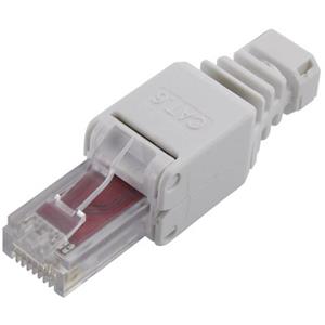 trucomponents RJ45 Stecker, Cat 6 Stecker, gerade Grau 1St.