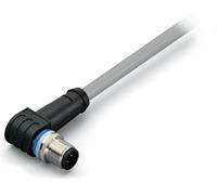 Wago Sensor-/Aktor-Datensteckverbinder, konfektioniert M12 Stecker, gewinkelt 20.00
