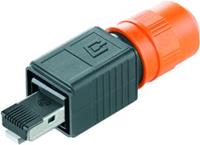 Weidmüller Sensor-/Aktor-Datensteckverbinder Stecker, gerade 10St.
