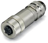 Wago Sensor-/Aktor-Steckverbinder, unkonfektioniert M12 Stecker, gerade Polzahl: 5