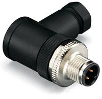 Wago Sensor-/Aktor-Steckverbinder, unkonfektioniert M12 Stecker, gewinkelt Polzahl: