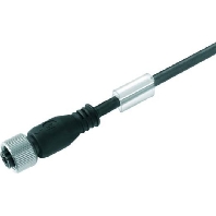 SAIL-M12BG-4-5.0U - Sensor-actuator patch cord 5m SAIL-M12BG-4-5.0U