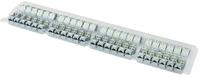 Telegärtner RJ Buchse  AMJ-S Modul Cat.6A T568B RJ45 Kupplungsgehäuse Zink-Grau 24St.