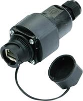 Telegärtner RJ45 Modul B Cat.6A RJ45 Kupplungsgehäuse Schwarz 1St.