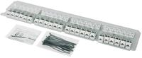Telegärtner RJ Buchse, MJ-Modul K Class EA 500 T568A RJ45 Kupplungsgehäuse Weiß 24St.