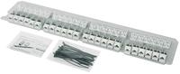 Telegärtner RJ Buchse  UMJ-Modul K Class EA 500 T568B RJ45 Kupplungsgehäuse Weiß 24St