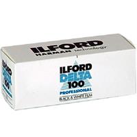 1 Ilford 100 Delta 120