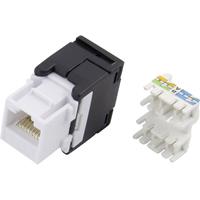 trucomponents Modularbuchse, werkzeuglos Buchse, gerade 93013c1177 Grau, Schwarz 1St.