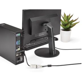 Startech DP2DVI DP - DVI Adapter