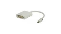 bandridge Mini DisplayPort ? DVI Adapter 0,2 m / 0,6 ft - 