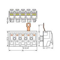 Wago Netzanschlussklemme starr: 0.5-2.5mm² Polzahl: 5 250 St. Weiß