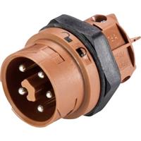 Wieland Rundstecker Stecker, Einbau Serie (Rundsteckverbinder): RST MINI Gesamtpolza