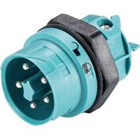 Wieland Rundstecker Stecker, Einbau Serie (Rundsteckverbinder): RST MINI Gesamtpolza