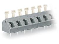 wago KLEMMENLEISTE 256-510 60 ST