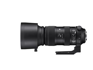 Sigma 60-600mm f/4.5-6.3 DG OS HSM Sports Canon EF