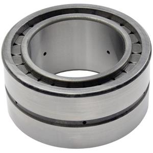 Cilinderlager INA SL045011 Boordiameter 55 mm Buitendiameter 90 Toerental (max.) 1800 omw/min
