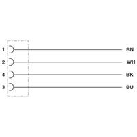 phoenixcontact Phoenix Contact 1415554 Sensor/actuator aansluitkabel Aantal polen: 4 3.00 m 1 stuk(s)