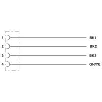 phoenixcontact Phoenix Contact 1408844 Sensor/actuator aansluitkabel Aantal polen: 4 2.00 m 1 stuk(s)