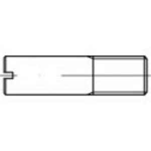 Bouten (l) 30 mm Staal Galvanisch verzinkt toolcraft TO-5394456 10 stuks