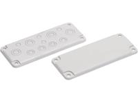 fibox MB 10324 Blindplatte Polycarbonat Lichtgrau (RAL 7035) 1St.