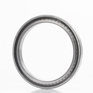 Cilinderlager INA SL185006-A-C3 Boordiameter 30 mm Buitendiameter 55 Toerental (max.) 8100 omw/min