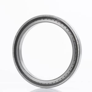 Cilinderlager INA SL182219-A Boordiameter 95 mm Buitendiameter 170 Toerental (max.) 2410 omw/min