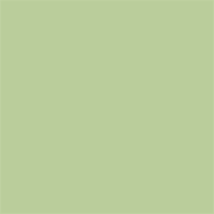 Falconeyes Achtergrondpapier 0013 Tropical Green 2,75 x 11 m