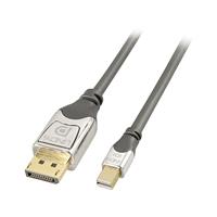 LINDY Mini-displayport / DisplayPort Adapterkabel Mini DisplayPort stekker, DisplayPort stekker 0.50 m Grijs 36310 DisplayPort-kabel