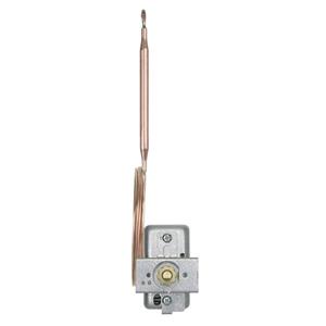 Jumo 60000219 Temperatuurbegrenzer