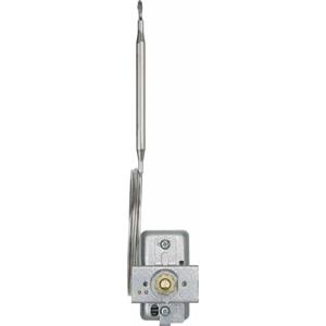 Jumo Temperatuurbegrenzer 20 tot 500 Â°C