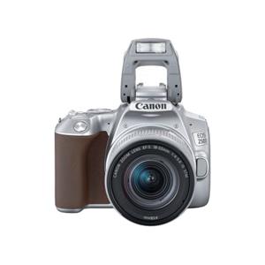 Canon EOS 250D 18-55mm IS STM - Silver