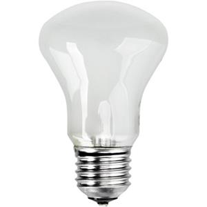 Model Lamp - 100W 196V (voor D-Lite)