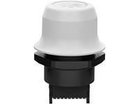 anybus Wireless Bolt White  Sunbolt  Wireless Bolt™ WLAN, Bluetooth, Ethernet 9 V/DC, 12 V/DC, 24