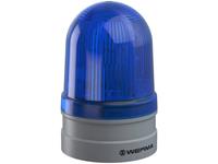 WERMA Signalleuchte Midi TwinFLASH 12/24VAC/DC BU Blau 12 V/DC
