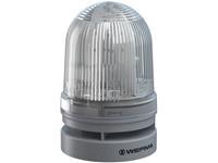 WERMA Signalleuchte Midi TwinLIGHT Combi 12/24VAC/DC CL Klar 12 V/DC 110 dB