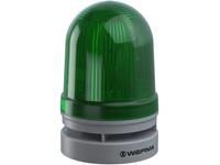 WERMA Signalleuchte Midi TwinLIGHT Combi 12/24VAC/DC GN Grün 12 V/DC 110 dB