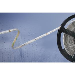 barthelmebasic Barthelme Basic 51540234 51540234 LED-strip Met open kabeleinde 24 V 5 m Koudwit