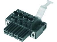 Weidmüller Buchsengehäuse-Kabel BV/SV Polzahl Gesamt 6 Rastermaß: 7.62mm 25St.