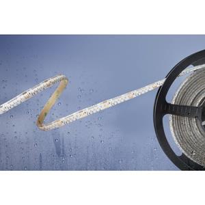 barthelmebasic Barthelme Basic 51540134 51540134 LED-strip Met open kabeleinde 24 V 5 m Koudwit
