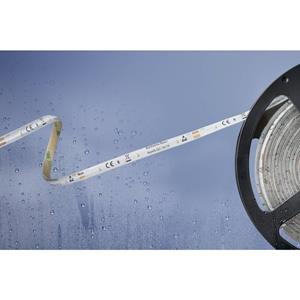 barthelmebasic Barthelme Basic 51540433 51540433 LED-strip Met open kabeleinde 12 V/DC 500 cm Neutraal wit