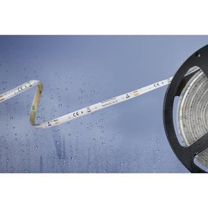 barthelmebasic LED-Streifen mit offenem Kabelende 12 V/DC 500cm Warm-Weiß