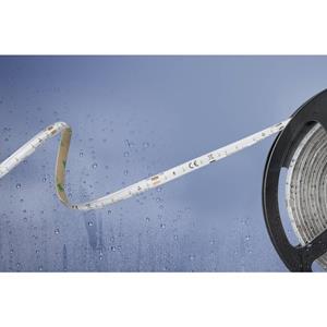 barthelmebasic Barthelme Basic 51540334 51540334 LED-strip Met open kabeleinde 24 V 5 m Koudwit