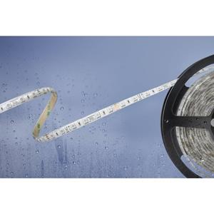 barthelmebasic Barthelme Basic 51540831 51540831 LED-strip Met open kabeleinde 24 V 5 m RGB