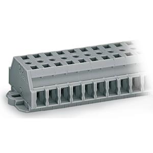 WAGO 261-423 Klemstrook 6 mm Spanveer Toewijzing: L Grijs 100 stuk(s)