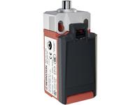 bernsteinag IN65-A2Z HK Positionsschalter 240 V/AC 5A Rollenhebel tastend IP66/IP67 5St.