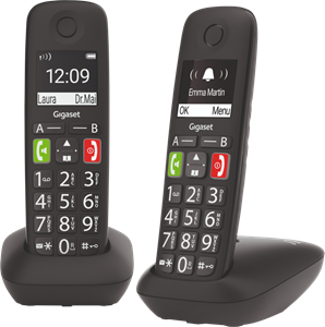 Gigaset E290M Duo  telefoon 2 stuks