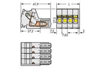 Wago Buchsengehäuse-Kabel 831 Polzahl Gesamt 4 Rastermaß: 7.62mm 24St.