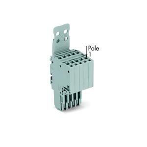 WAGO 2020-205/143-000 Connector, female 50 stuk(s)